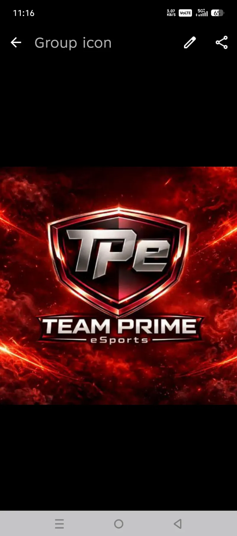 Team prime ESports