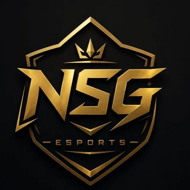 NSG ESPORTS