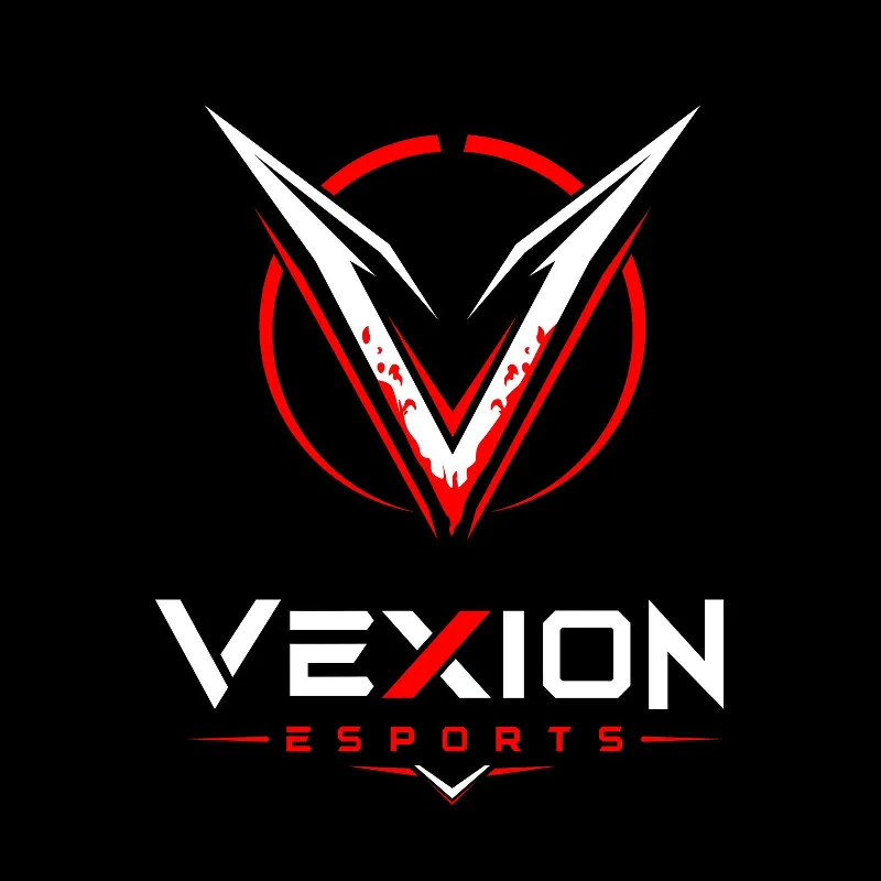 VEXION ESPORTS